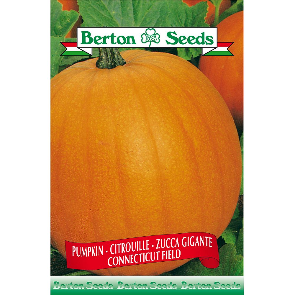 Berton Seeds Co. Limited Pumpkin Connecticut Field Seeds The Home