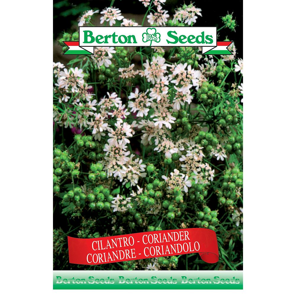 Berton Seeds Co. Limited Coriander Seeds The Home Depot Canada