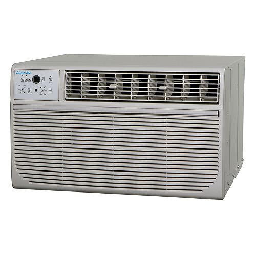 Thru-The-Wall AC 10000 Btu With Remote 115V