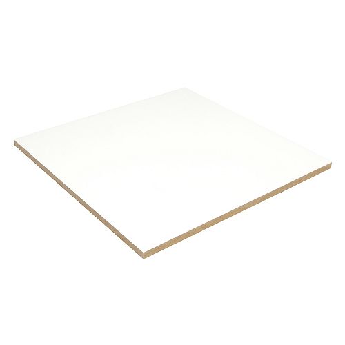 24-inch x 24-inch White Ceiling Panel (4-Pack)