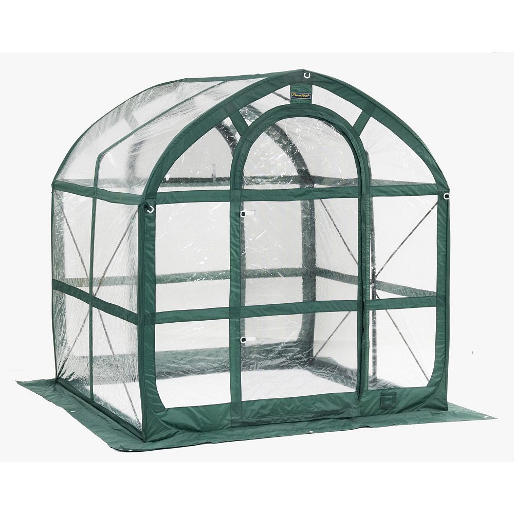 Flowerhouse SpringHouse 6 ft. x 6 ft. Clear Easy PopUp Greenhouse The Home Depot Canada