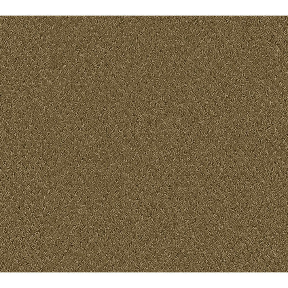 Beaulieu Canada Inspiring I Cattail Carpet Per Sq. Ft. The Home