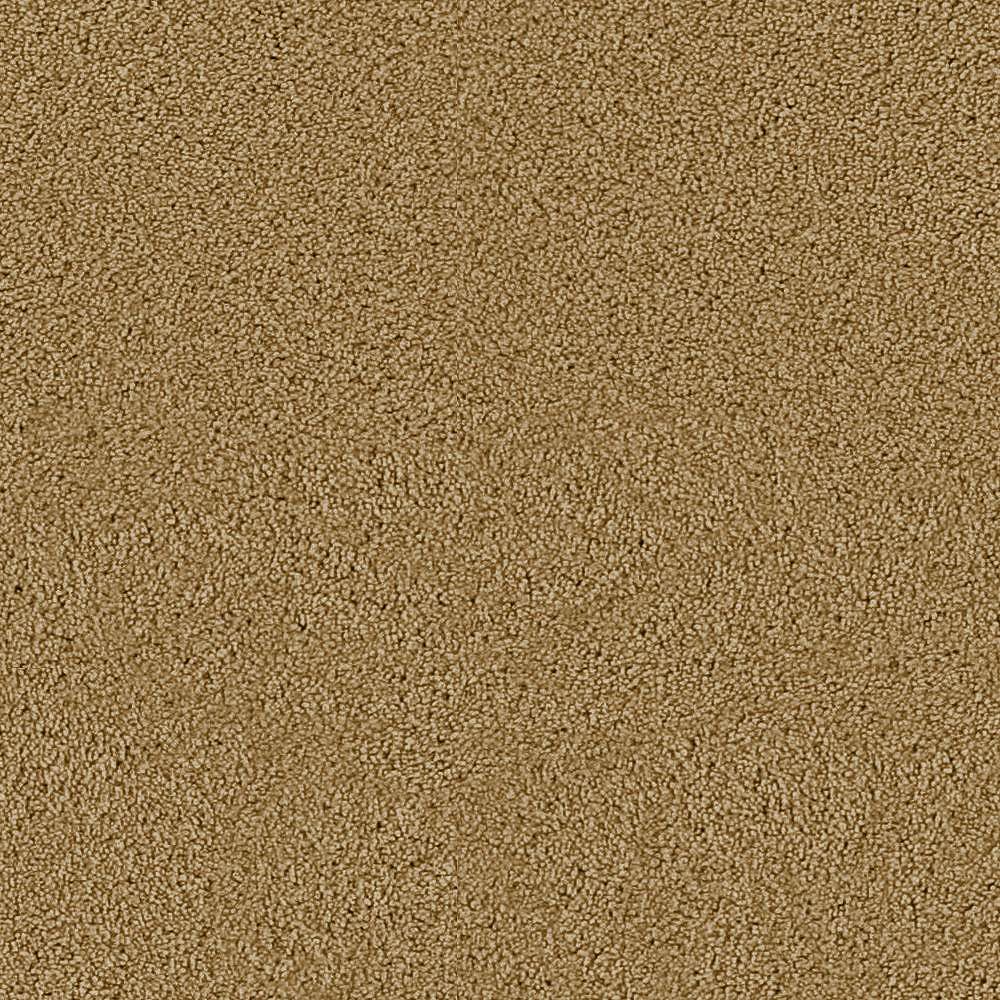 Beaulieu Canada Fetching I Pecan Shell Carpet Per Sq. Ft. The