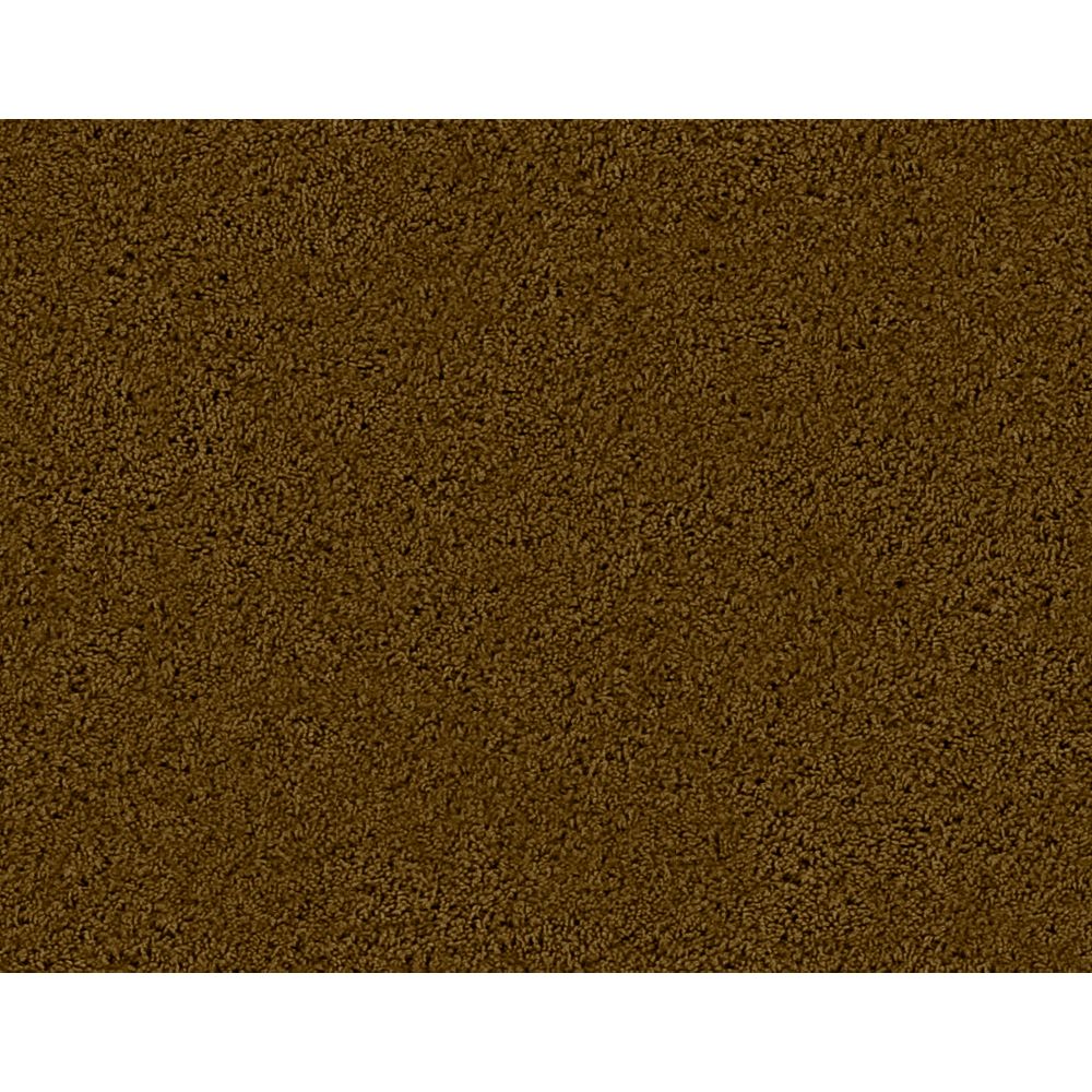 Beaulieu Canada Enticing II Frontier Carpet Per Sq. Ft. The Home