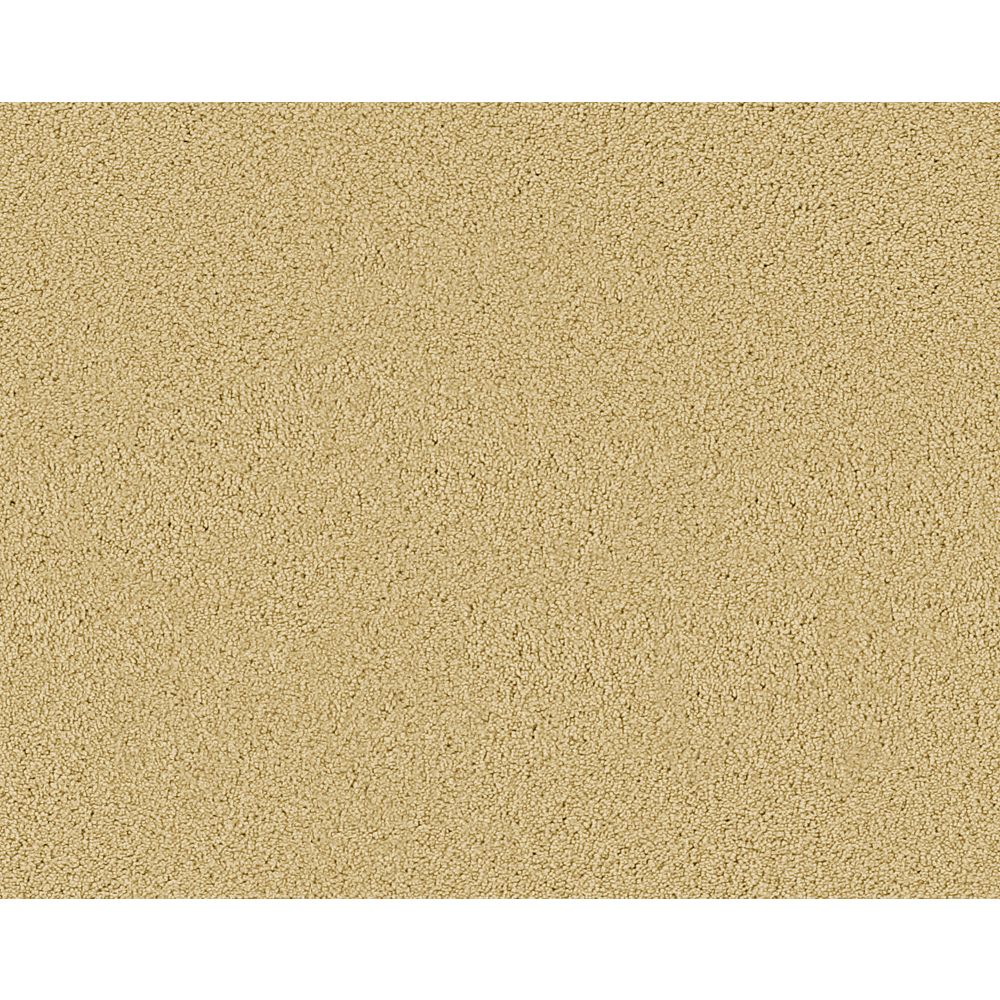 Beaulieu Canada Beautiful II Harvester Carpet Per Sq. Ft. The