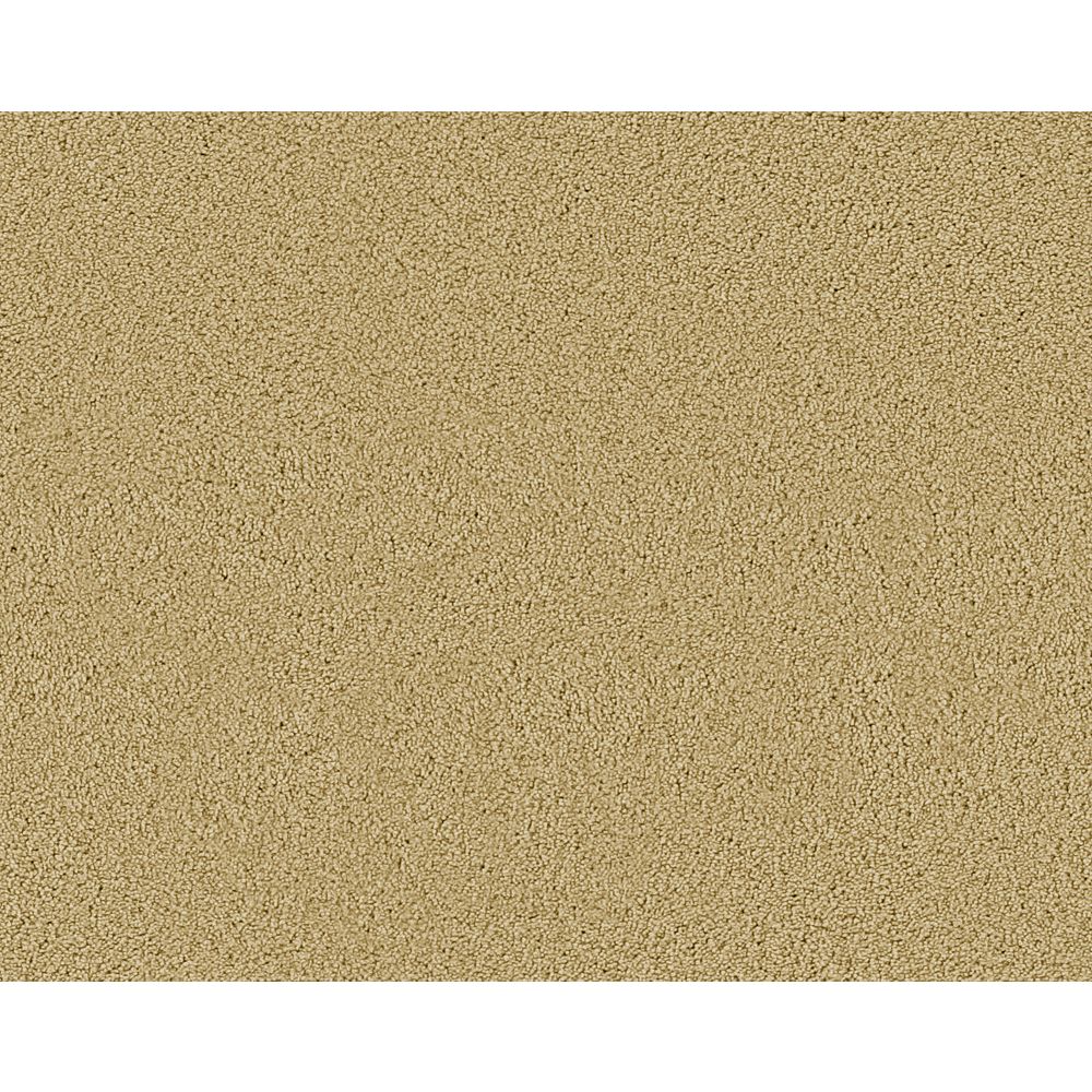 Beaulieu Canada Beautiful II Nutria Carpet Per Sq. Ft. The Home