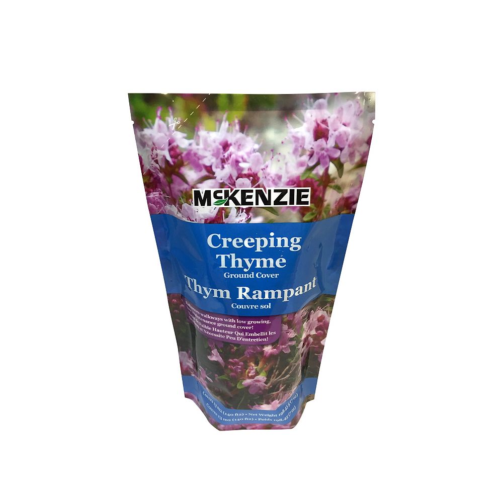Mckenzie Creeping Thyme Ground Cover, Creeping Thyme Ground Cover Seeds