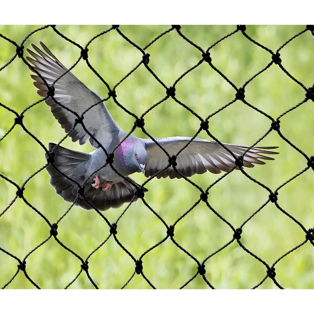 bird netting for sale
