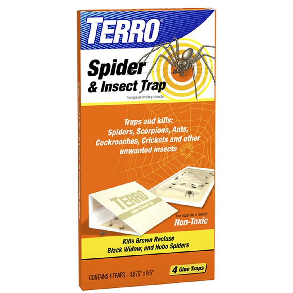 Terro spider killer home depot Clearance