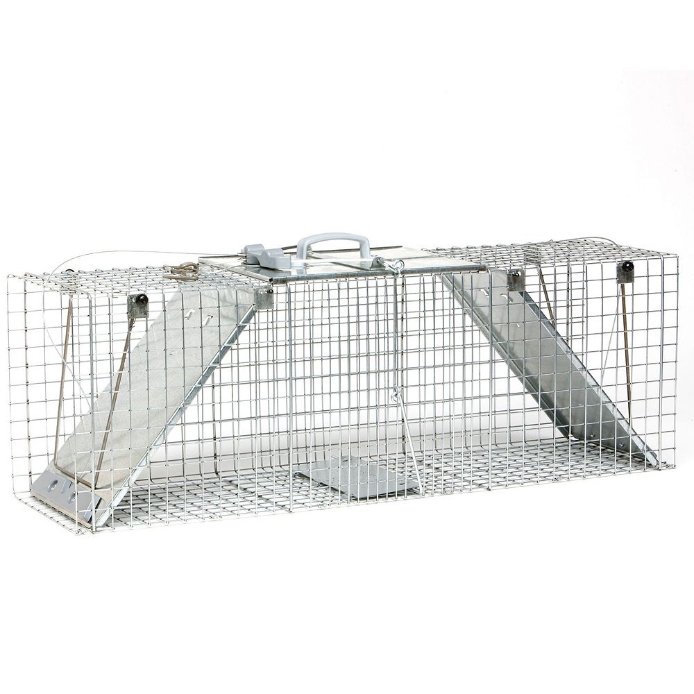 Havahart Easy Set Large 2Door Animal Trap The Home Depot Canada