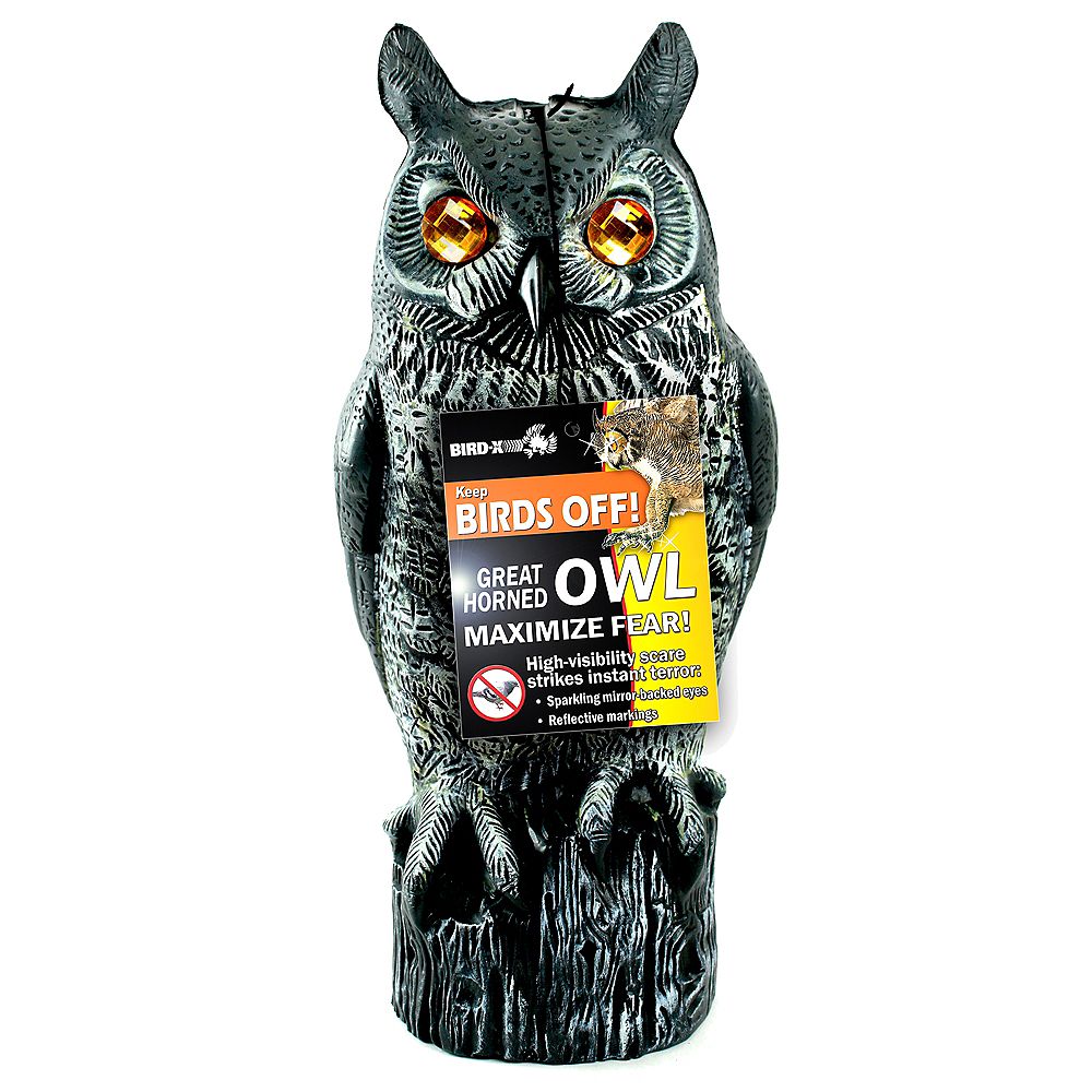 Bird-X Inc. Great Horned Owl Decoy | The Home Depot Canada