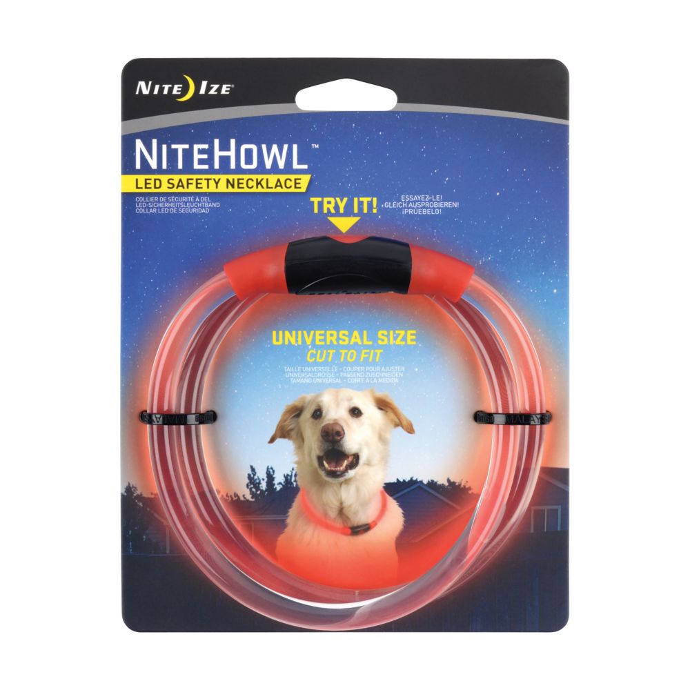 flashing dog collar pets at home