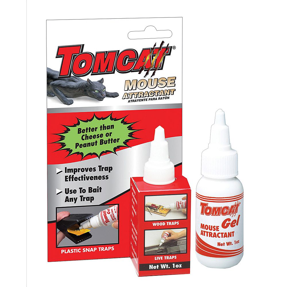 Tom Cat Tomcat Mouse & Rat Attractant Gel The Home Depot Canada