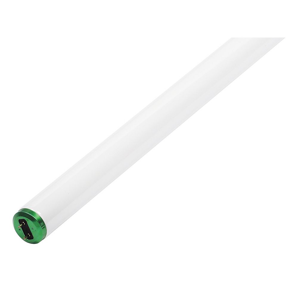 Philips Fluorescent 40W T12 48 Inch Cool White (4100K) (10Pack) The