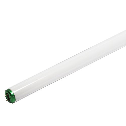 Fluorescent 32W T8 48-inch Plant