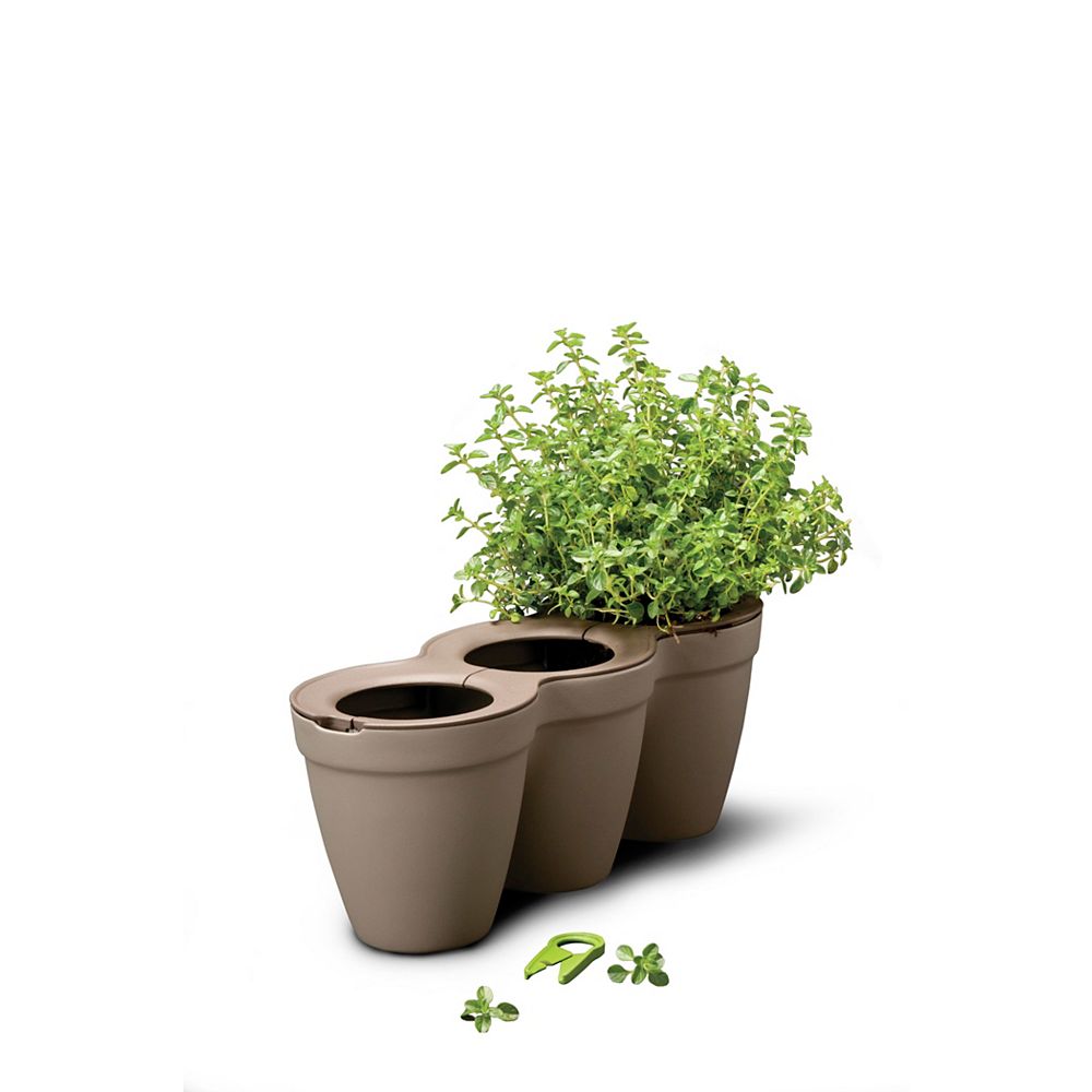 Keter Ivy Herbs Planter The Home Depot Canada