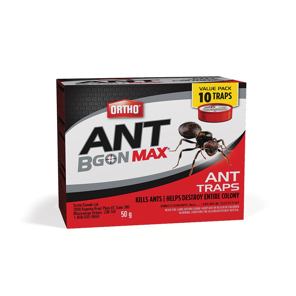 images Carpenter Ant Bait Traps home defense max ant trap 10 pack