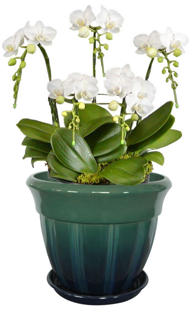 Hampton Bay 15inch Banded Ribbon Bell Planter in Blue Green The Home