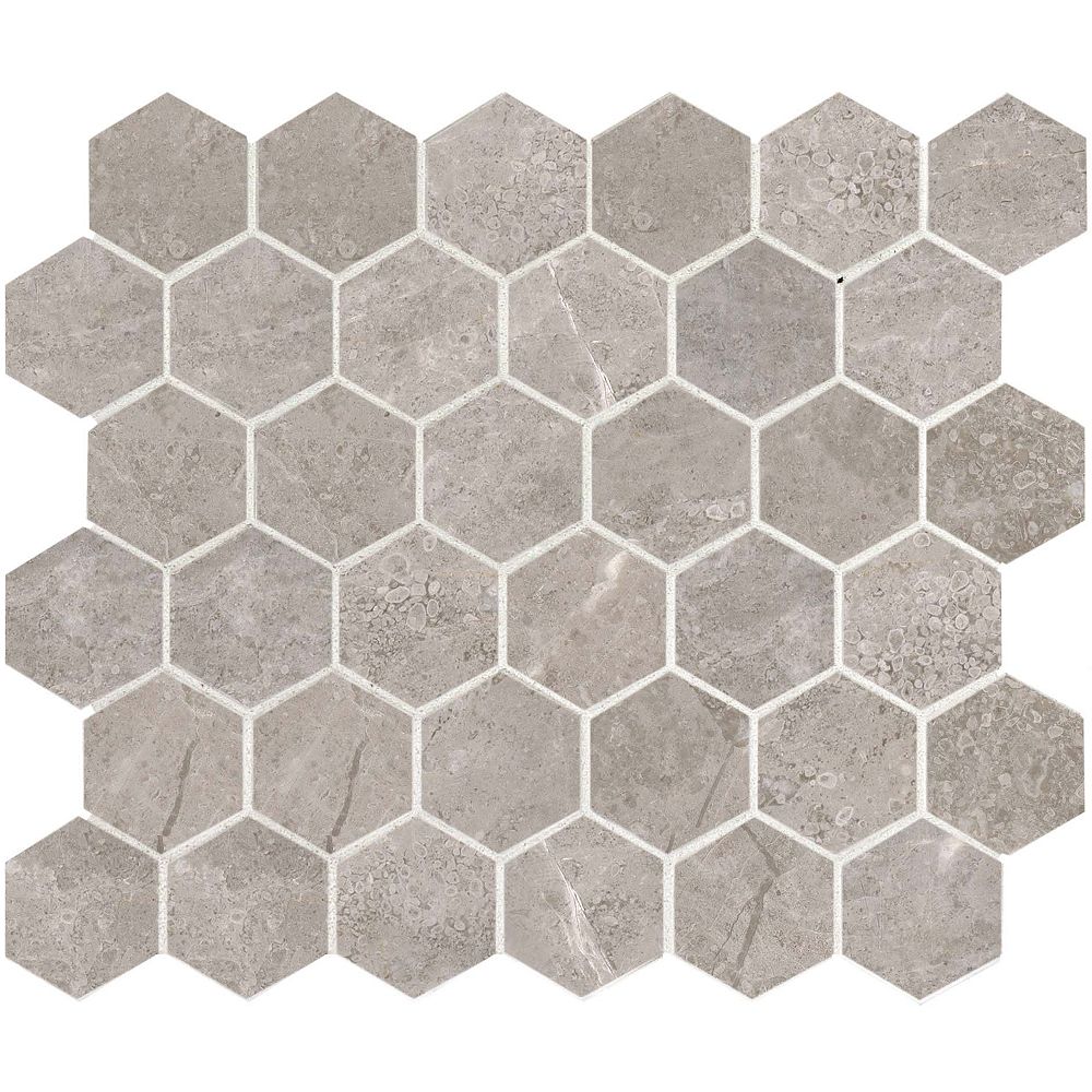 Enigma 2 Inch Vital Mica Polished Hexagon Mosaics The Home Depot Canada