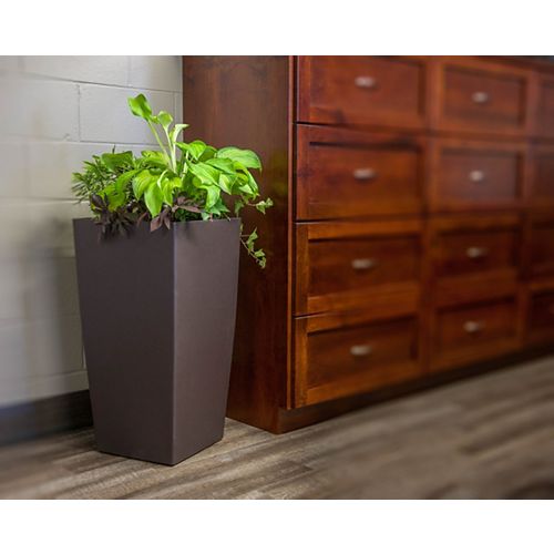 Vertical Gardens & Wall Planters Planters & Plant Stands The Home