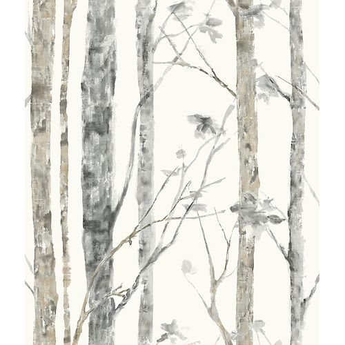 Birch Trees Peel and Stick Wall Paper