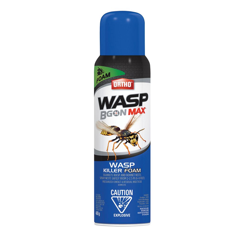 Ortho Wasp B Gon Max 400g Wasp Killer Foam The Home Depot Canada