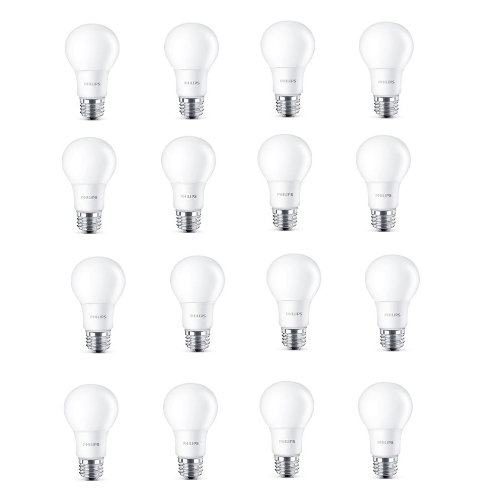 A19 Appliance Bulb