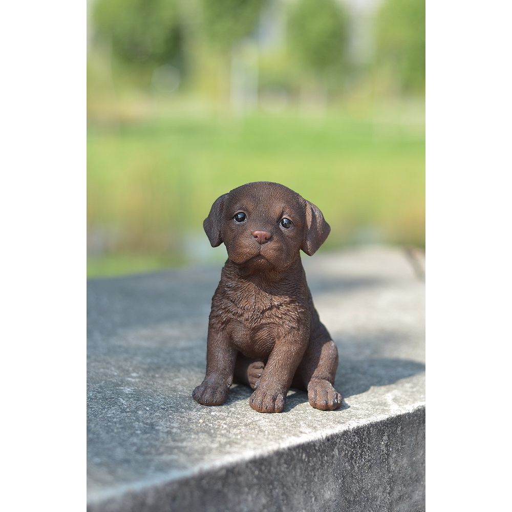 Hi Line Gift Chiot Labrador Brun Chocolat Home Depot Canada