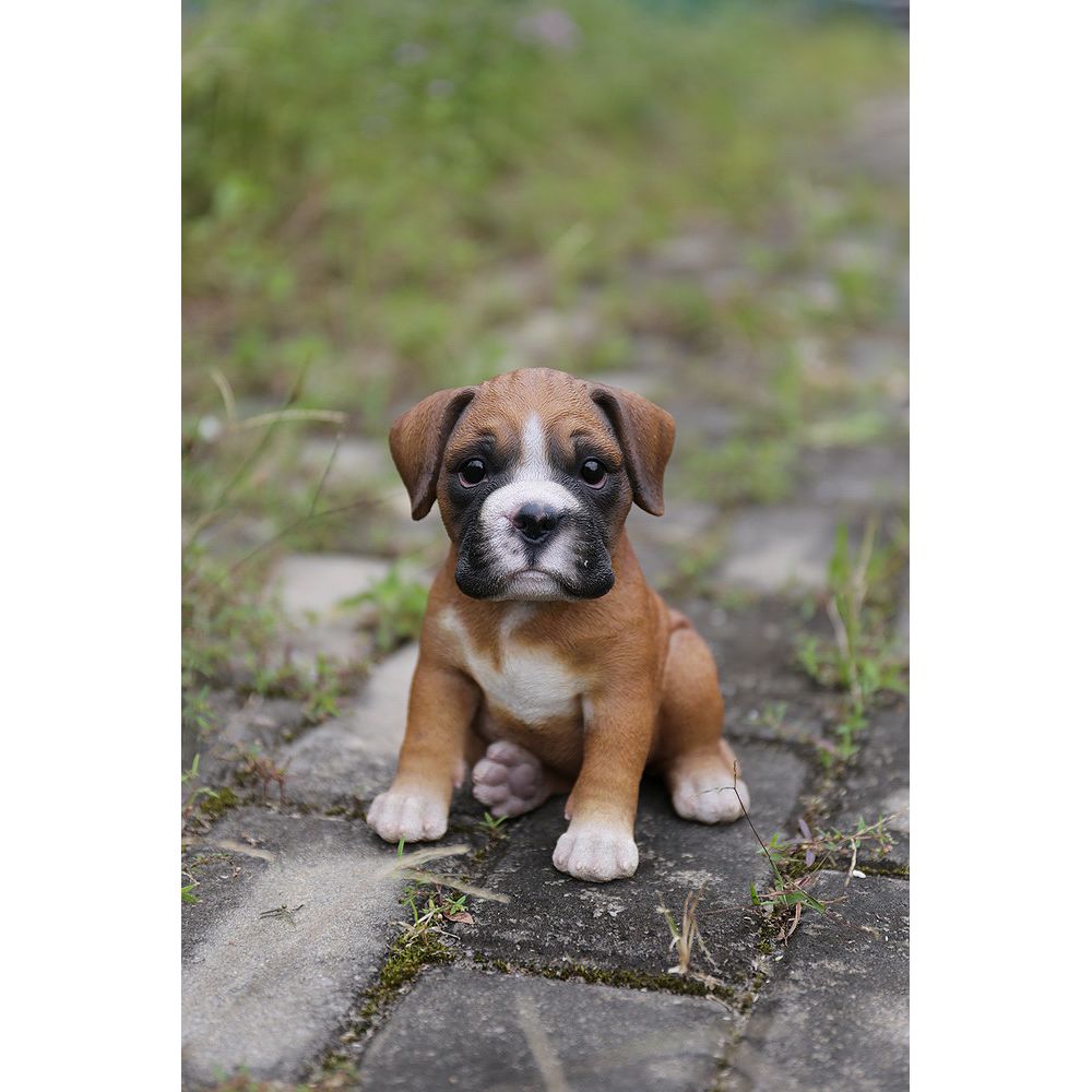 Hi Line Gift Chiot Boxer Home Depot Canada