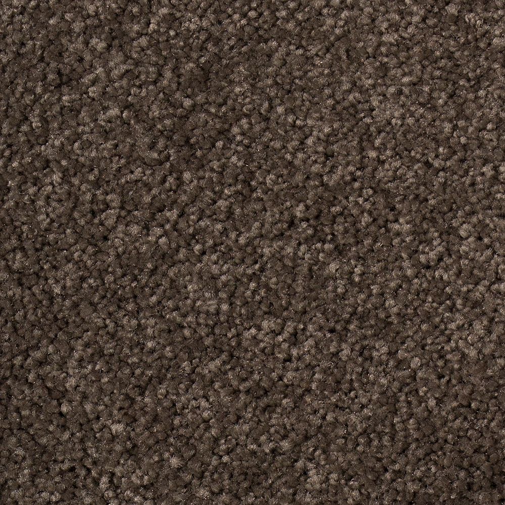 Beaulieu Canada True Desire Moleskin Carpet per Sq. Feet The Home