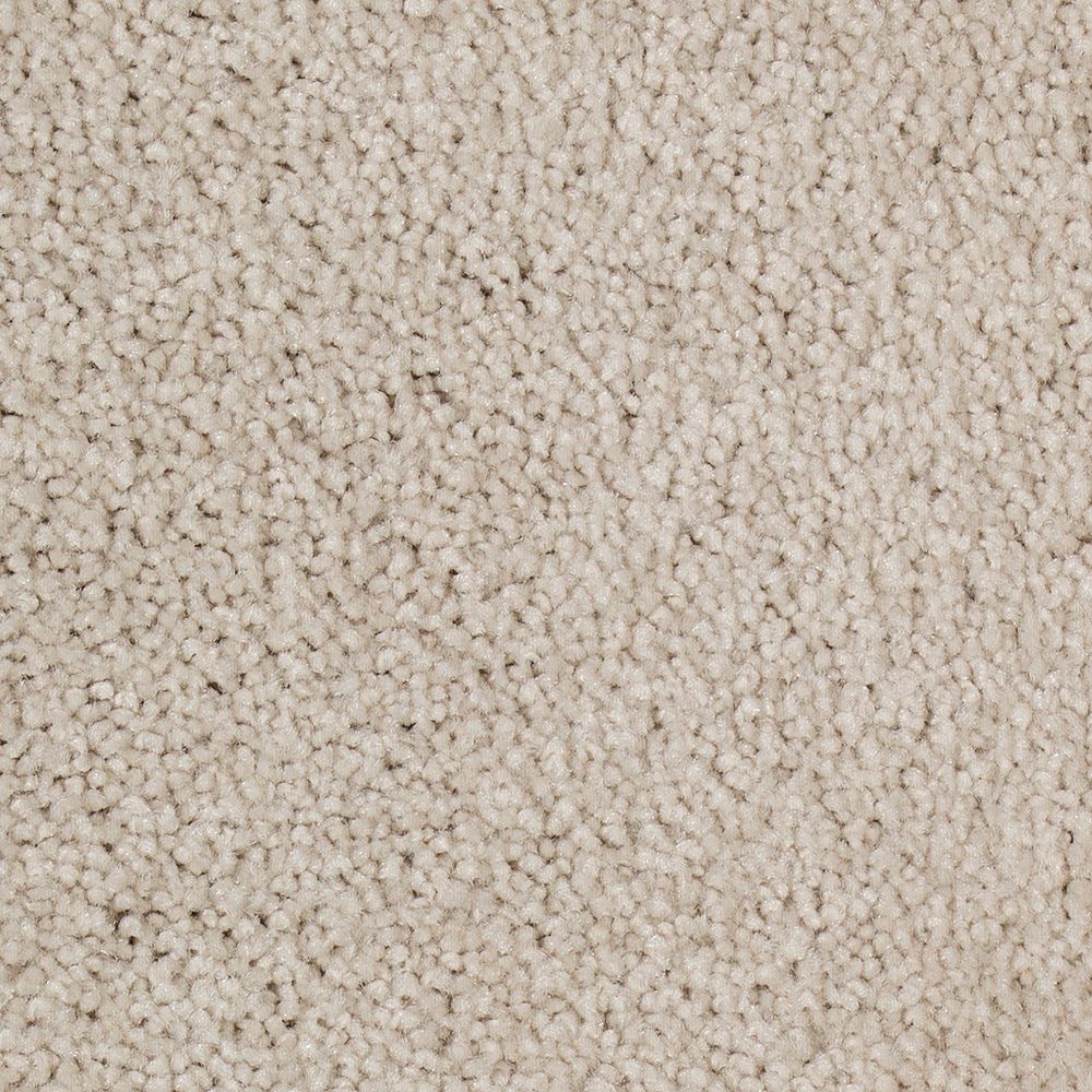 Beaulieu Canada True Heart Cashmere Carpet per Sq. Feet The Home