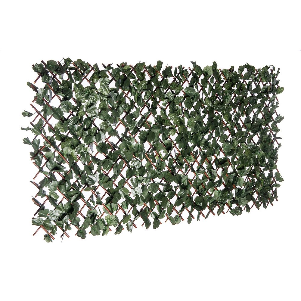 Naturae Decor 36 Inch X 72 Inch Expandable Ivy Leaf Trellis The Home Depot Canada Naturae Decor 36 Inch X 72 Inch Expandable Ivy Leaf Trellis The Home Depot Canada