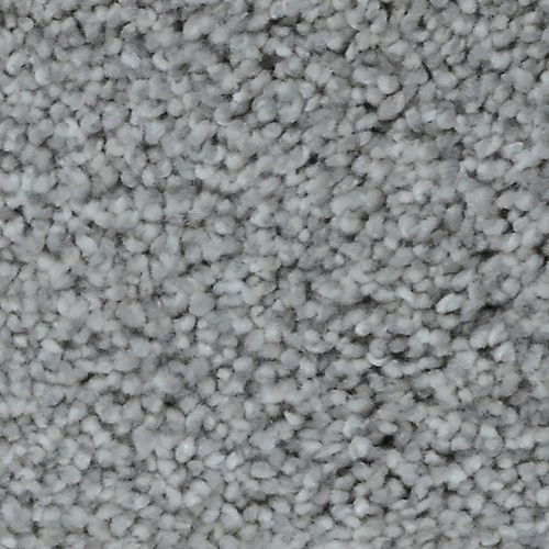 Stargazer Ballard 12 ft. x Custom Length Textured Carpet