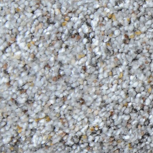 Galore I Kramer 12 ft. x Custom Length Textured Carpet