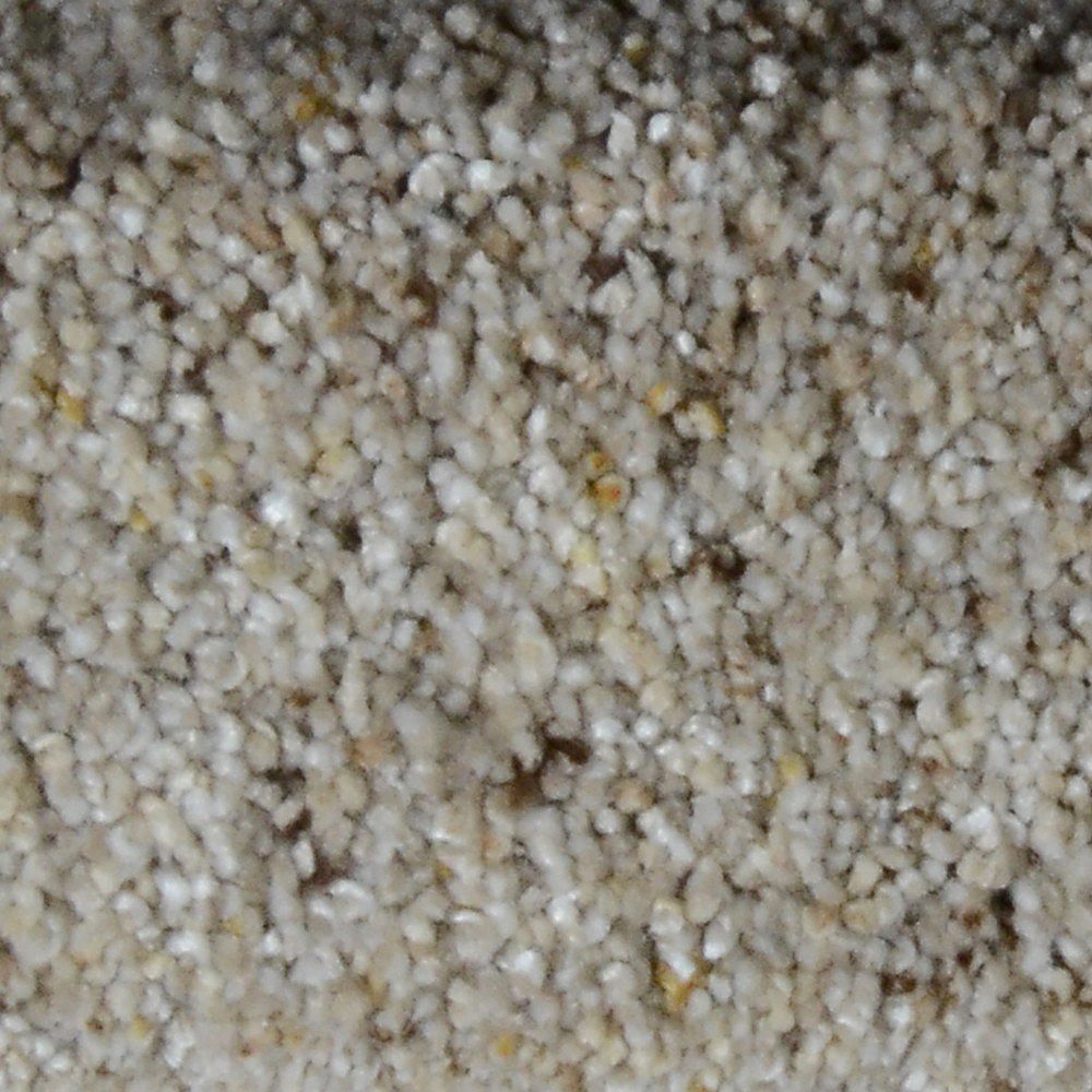 Lifeproof Galore II Boone 12 ft. x Custom Length Textured Carpet The Home Depot Canada