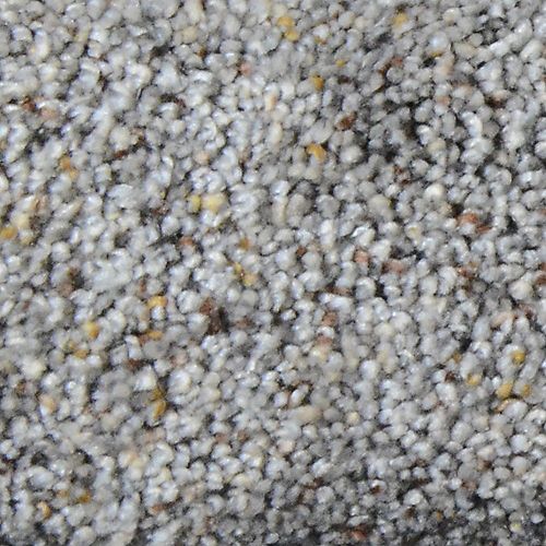 Galore II Dutton 12 ft. x Custom Length Textured Carpet