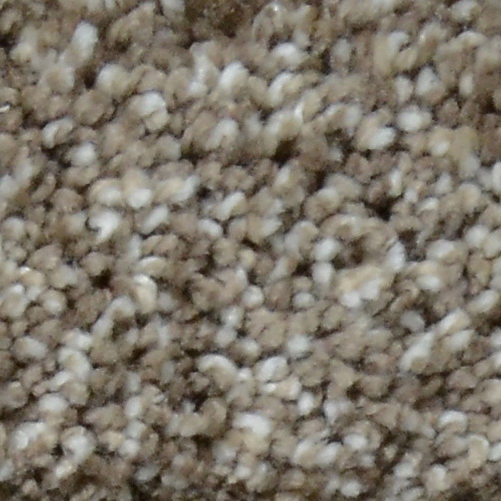 Lifeproof Great Moments II (T) Ashton 12 ft. x Custom Length Textured