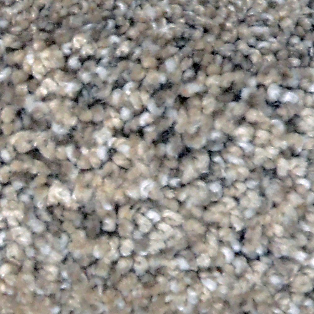 Lifeproof Great Moments II (T) Hansen 12 ft. x Custom Length Textured