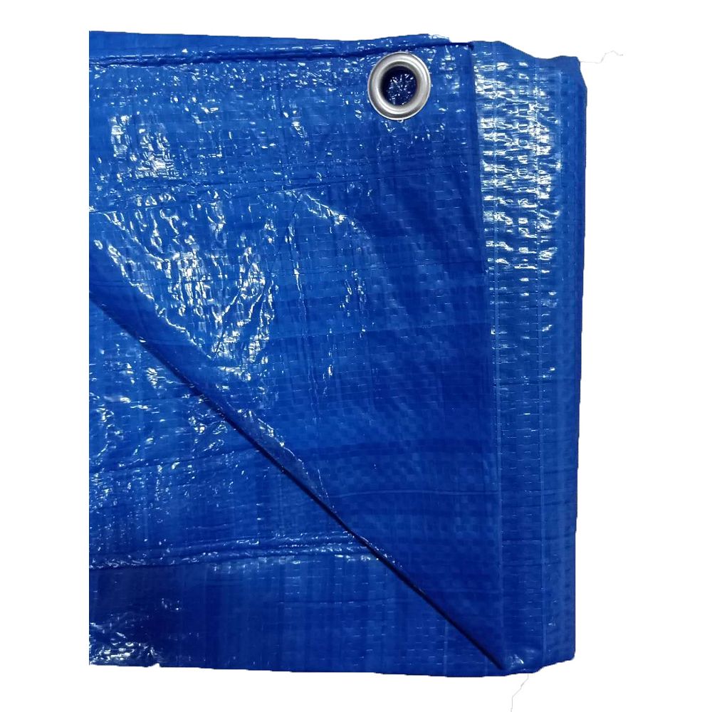 HDG 12 ft. x 14 ft. Light Duty Tarp in Blue (2-Pack) | The Home Depot Canada