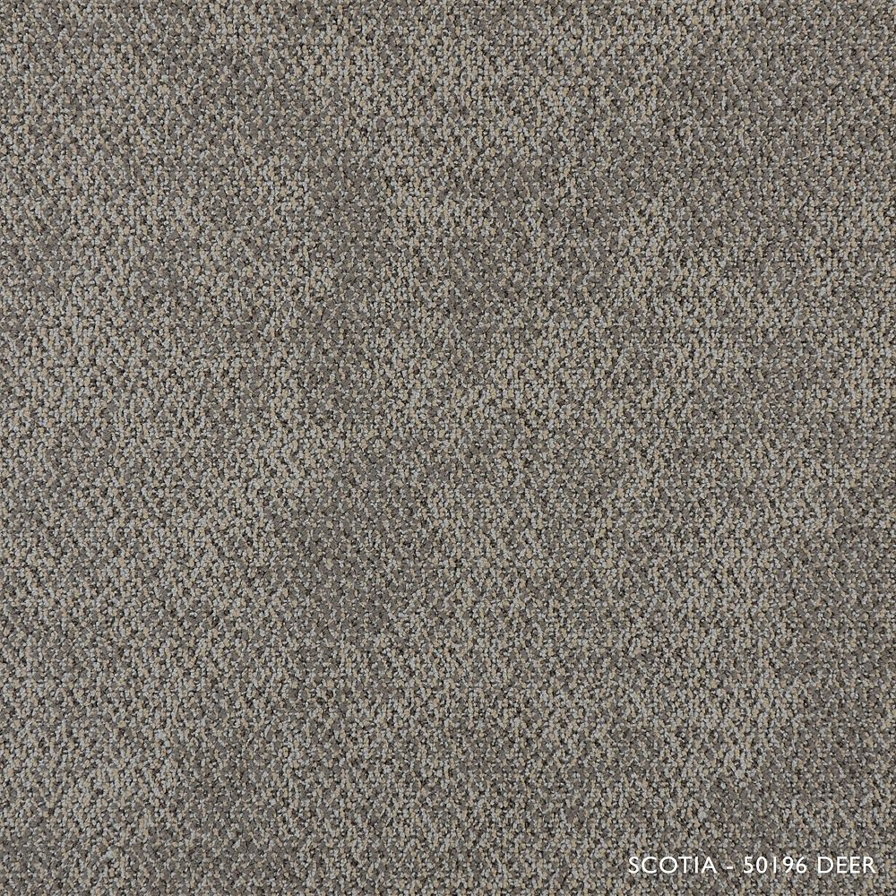 Astella Scotia Deer Modular Carpet Tile 2153 Sq Ft Case The Home Depot Canada