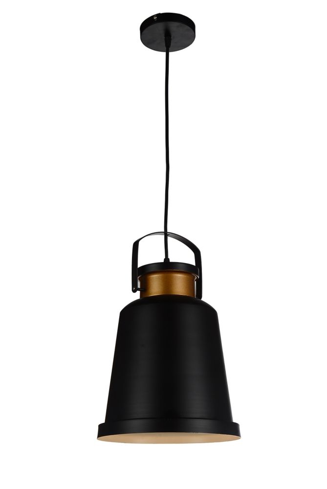 black mini pendant light