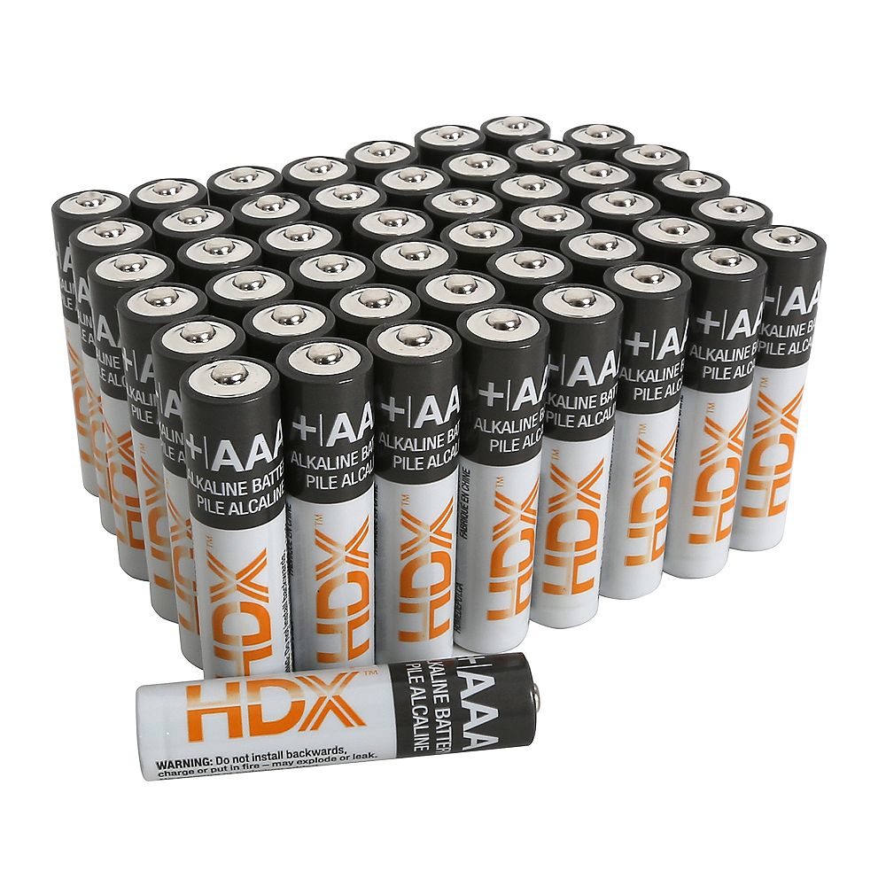 HDX AAA Alkaline Battery (48Pack) The Home Depot Canada