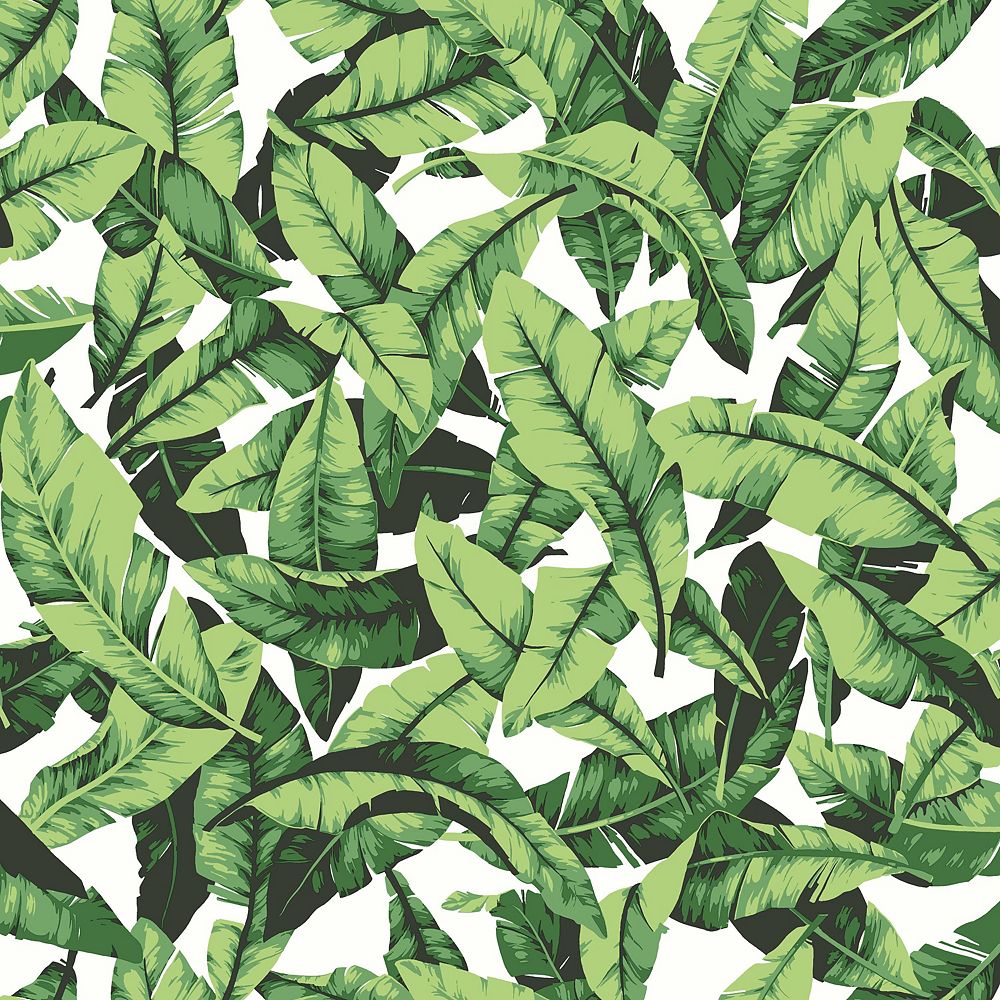 Roommates Palm Leaf Peel Stick Wallpaper The Home Depot Canada