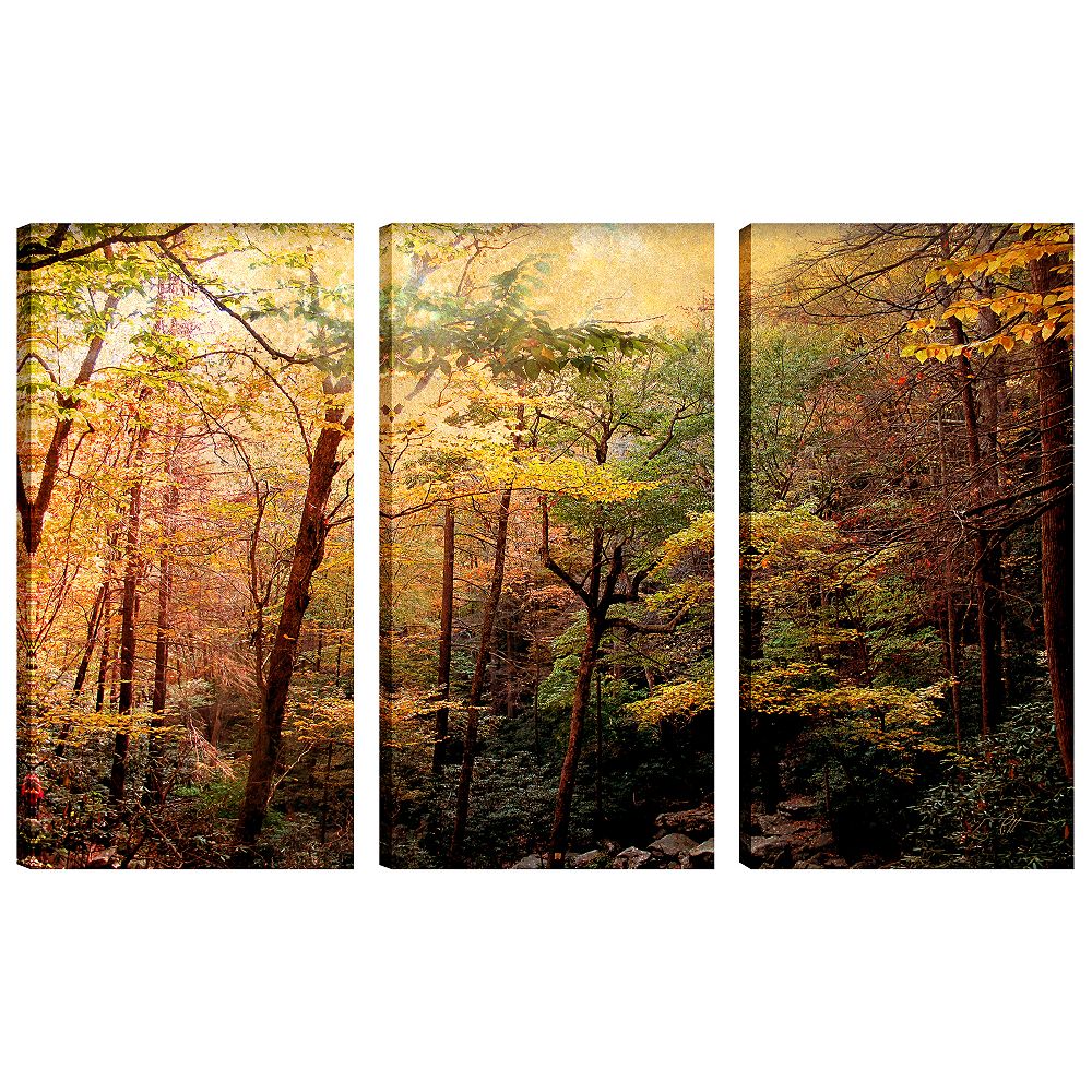 Art Maison Canada 24X12 Landscape Photography Rainbow Trees Canvas Wall ...