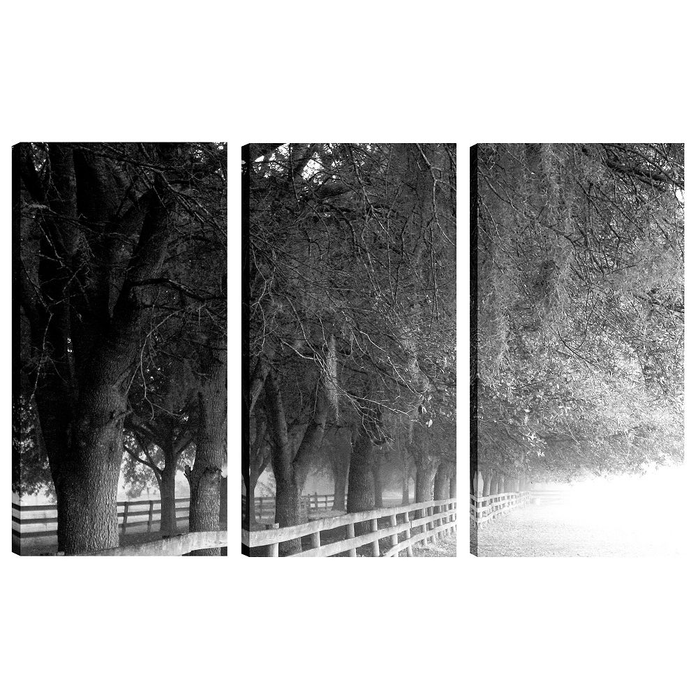 Art Maison Canada 24X12 Landscape Photography Covered By Trees Canvas ...