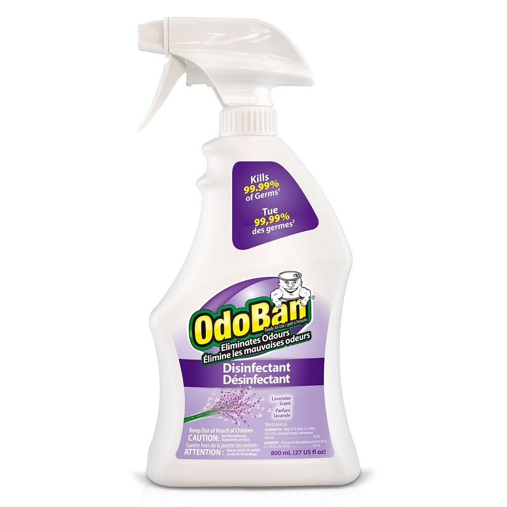 OdoBan 800 mL Ready-to-Use Disinfectant Spray (Lavender) | The Home ...