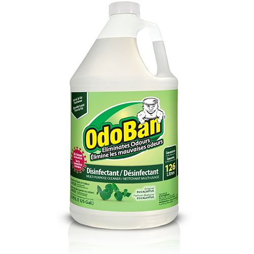 3.79 L Concentrated Disinfectant and Odor Eliminator (Eucalyptus)