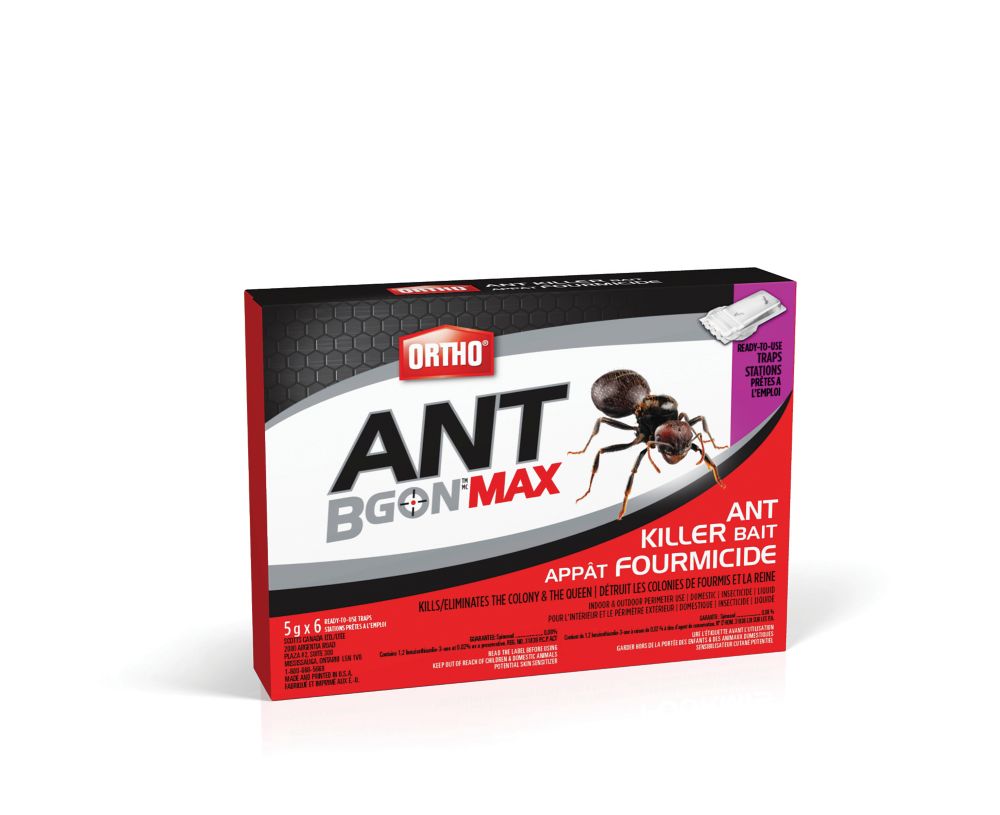 Use ant. Raid Ant Killer. Ant b.