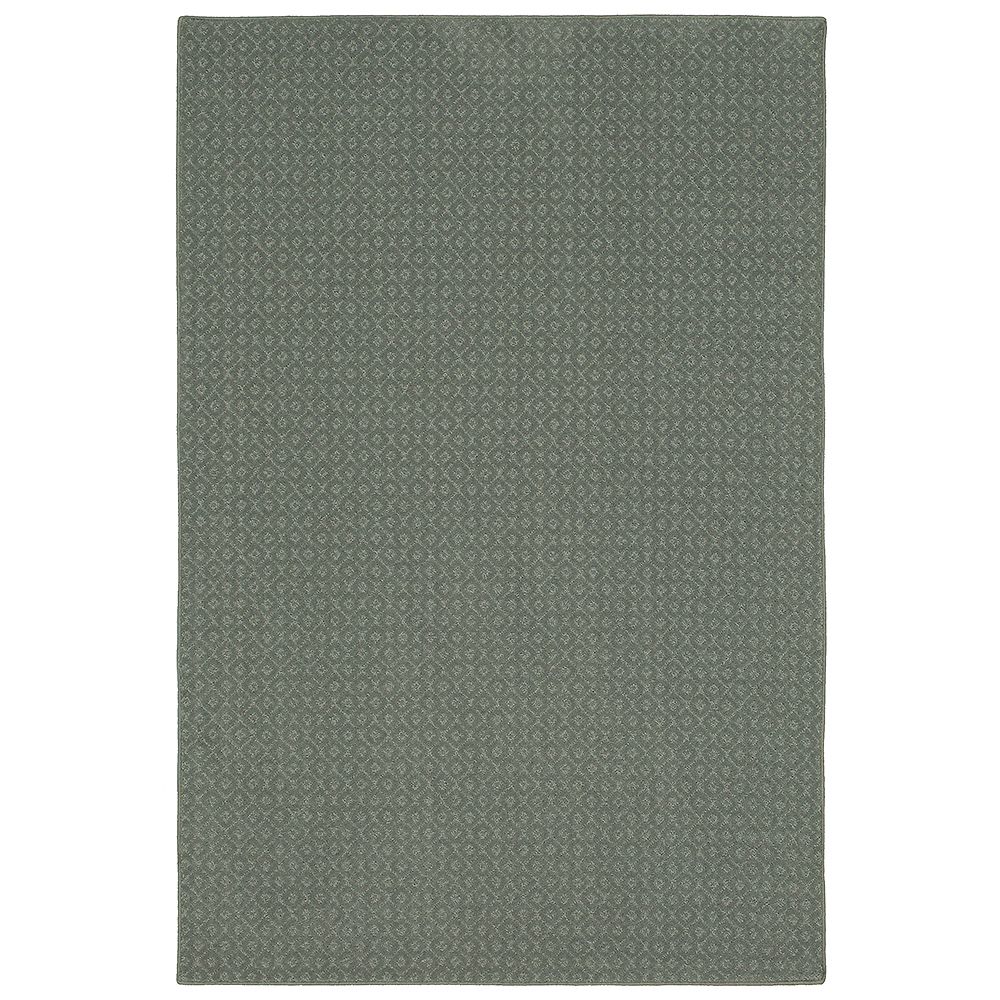 PetProof Pattern Sawyer Meandering Texture 12 ft. x 15 ft. Bound Carpet