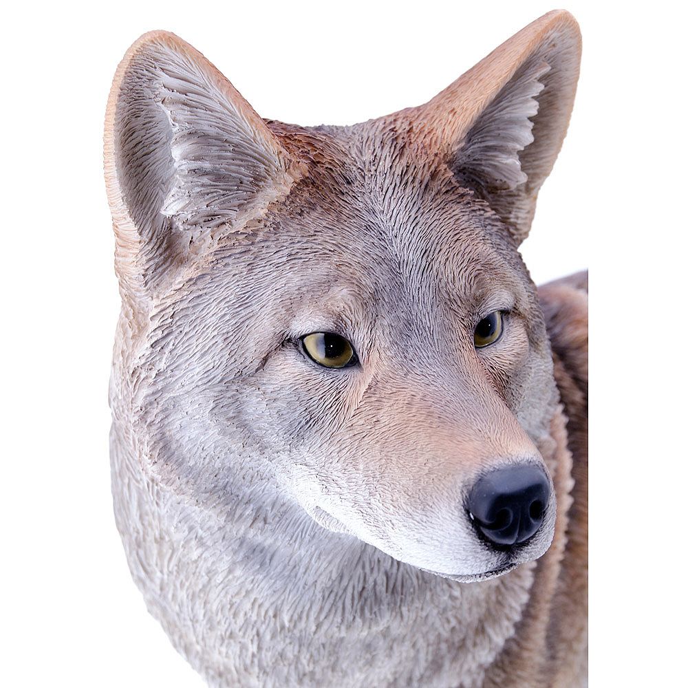 HiLine Gift Coyote Standing Statue The Home Depot Canada